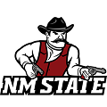 New Mexico State